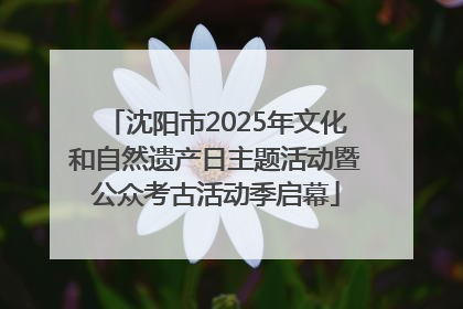 沈阳市2025年文化和自然遗产日主题活动暨公众考古活动季启幕