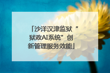 沙洋汉津监狱“狱政AI系统”创新管理服务效能