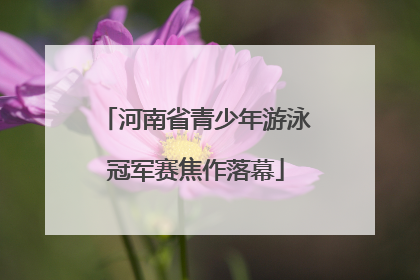 河南省青少年游泳冠军赛焦作落幕