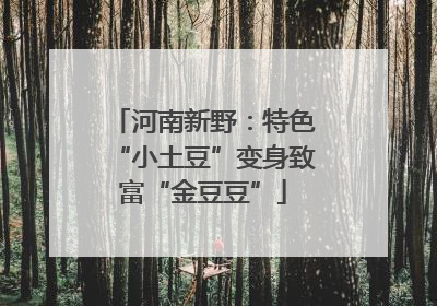 河南新野：特色“小土豆”变身致富“金豆豆”