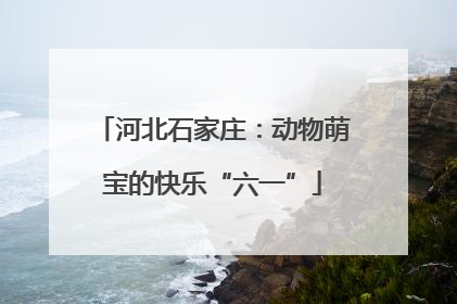 河北石家庄：动物萌宝的快乐“六一”