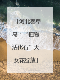 河北秦皇岛：“植物活化石”天女花绽放