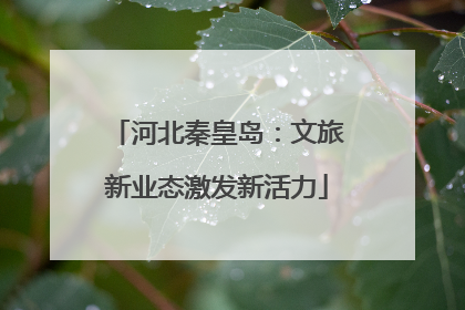 河北秦皇岛：文旅新业态激发新活力