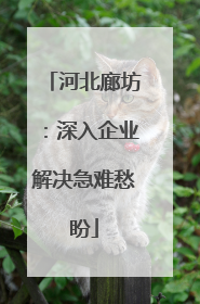 河北廊坊：深入企业解决急难愁盼