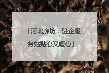 河北廊坊：驻企服务站贴心又暖心