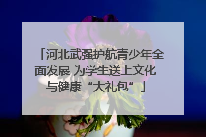 河北武强护航青少年全面发展 为学生送上文化与健康“大礼包”
