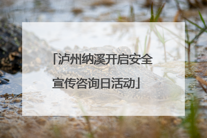 泸州纳溪开启安全宣传咨询日活动