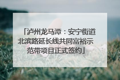 泸州龙马潭：安宁街道北滨路延长线共同富裕示范带项目正式签约