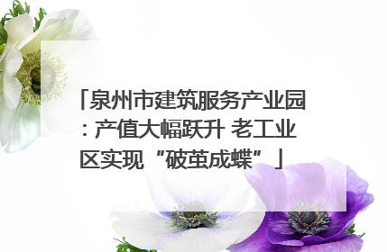泉州市建筑服务产业园：产值大幅跃升 老工业区实现“破茧成蝶”
