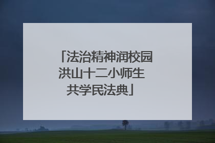法治精神润校园 洪山十二小师生共学民法典