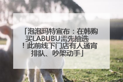 泡泡玛特宣布：在韩购买LABUBU需先抽选！此前线下门店有人通宵排队、吵架动手