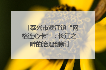 泰兴市滨江镇“网格连心卡”：长江之畔的治理创新