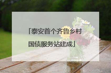 泰安首个齐鲁乡村国债服务站建成