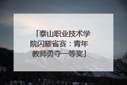 泰山职业技术学院闪耀省赛：青年教师勇夺一等奖