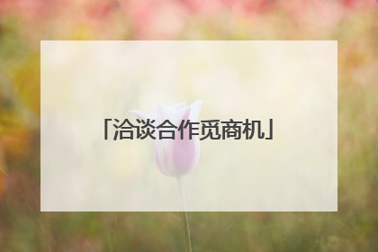 洽谈合作觅商机