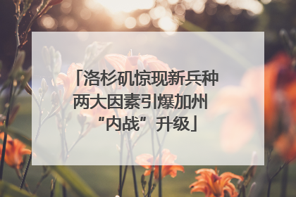 洛杉矶惊现新兵种 两大因素引爆加州“内战”升级