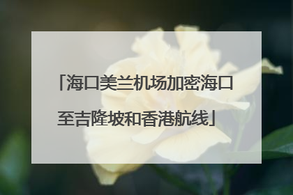 海口美兰机场加密海口至吉隆坡和香港航线