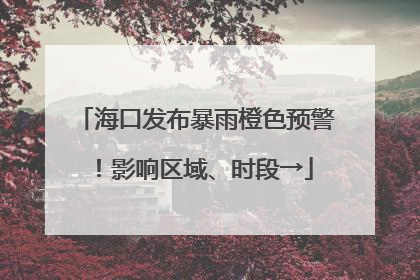 海口发布暴雨橙色预警！影响区域、时段→