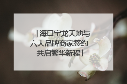 海口宝龙天地与六大品牌商家签约 共启繁华新程