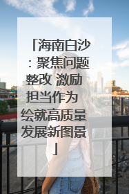 海南白沙：聚焦问题整改 激励担当作为 绘就高质量发展新图景