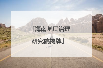 海南基层治理研究院揭牌