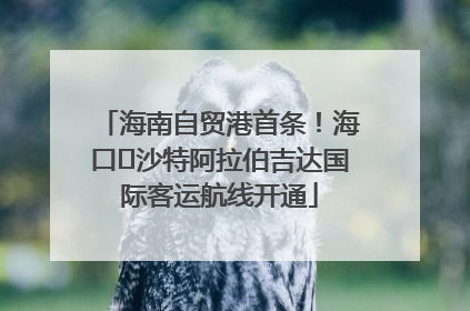 海南自贸港首条！海口⇌沙特阿拉伯吉达国际客运航线开通