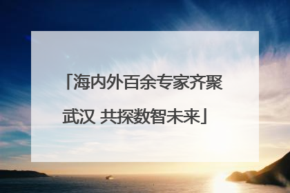 海内外百余专家齐聚武汉 共探数智未来