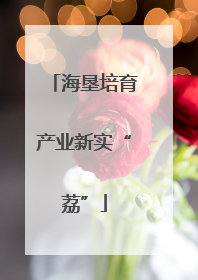 海垦培育产业新实“荔”