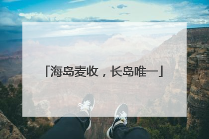 海岛麦收，长岛唯一
