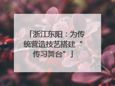 浙江东阳：为传统营造技艺搭建“传习舞台”