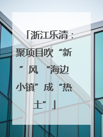 浙江乐清：聚项目吹“新”风 “海边小镇”成“热土”