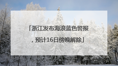 浙江发布海浪蓝色警报，预计16日傍晚解除