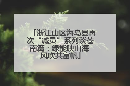 浙江山区海岛县再次“减员”系列谈苍南篇：绿能映山海 风吹共富帆