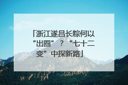 浙江遂昌长粽何以“出圈”？“七十二变”中探新路