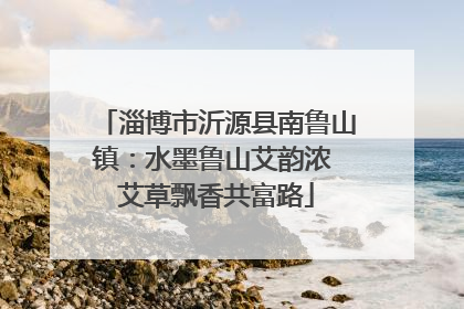 淄博市沂源县南鲁山镇：水墨鲁山艾韵浓 艾草飘香共富路
