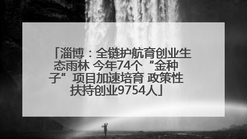 淄博：全链护航育创业生态雨林 今年74个“金种子”项目加速培育 政策性扶持创业9754人