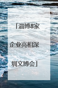 淄博8家企业亮相深圳文博会