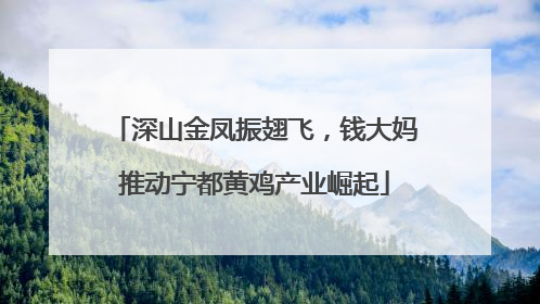 深山金凤振翅飞，钱大妈推动宁都黄鸡产业崛起