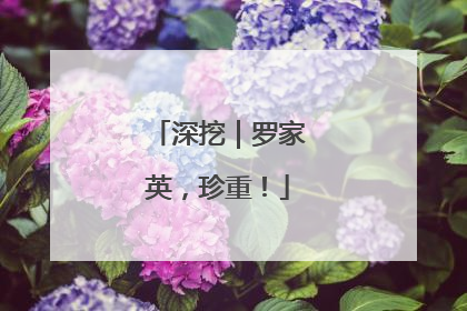 深挖｜罗家英，珍重！