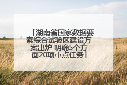 湖南省国家数据要素综合试验区建设方案出炉 明确5个方面20项重点任务