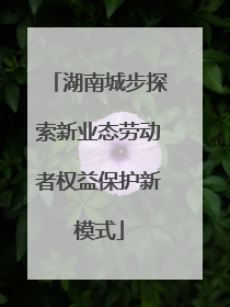 湖南城步探索新业态劳动者权益保护新模式