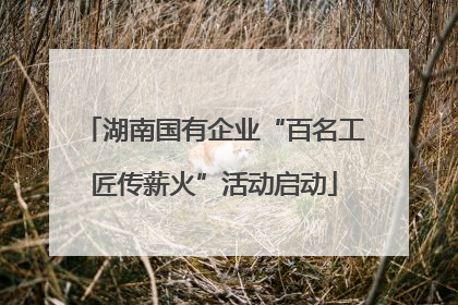 湖南国有企业“百名工匠传薪火”活动启动