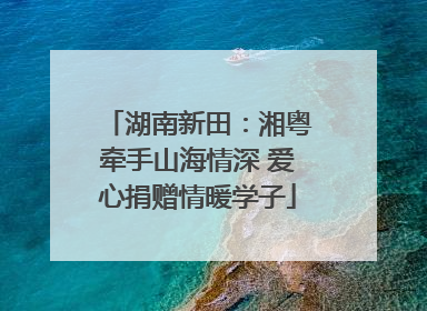 湖南新田：湘粤牵手山海情深 爱心捐赠情暖学子