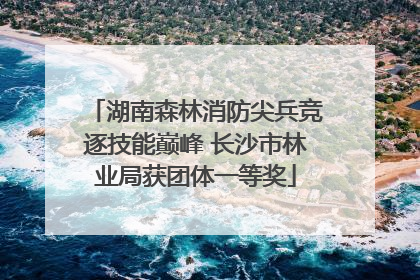 湖南森林消防尖兵竞逐技能巅峰 长沙市林业局获团体一等奖