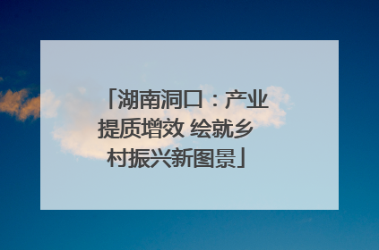 湖南洞口：产业提质增效 绘就乡村振兴新图景