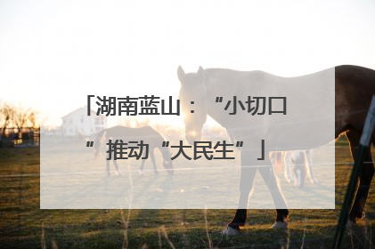 湖南蓝山：“小切口”推动“大民生”