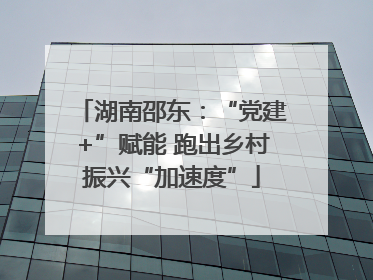 湖南邵东：“党建+”赋能 跑出乡村振兴“加速度”