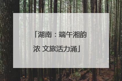 湖南：端午湘韵浓 文旅活力涌