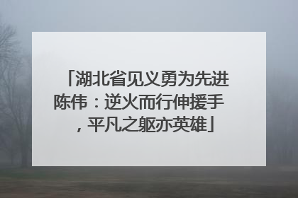 湖北省见义勇为先进陈伟：逆火而行伸援手，平凡之躯亦英雄