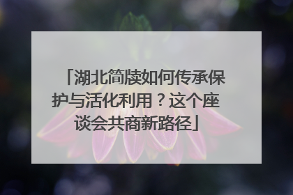湖北简牍如何传承保护与活化利用？这个座谈会共商新路径